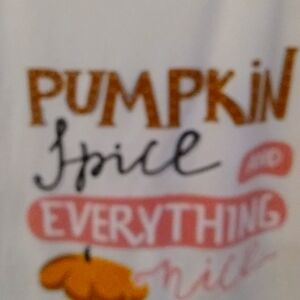 NWT Sam & Olivia Pumpkin Sleepwear